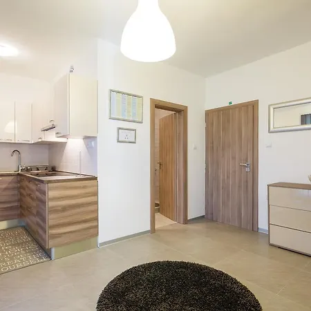 Apartman Ivni *